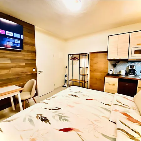 River Front Near Frankfurt-air Conditioner-private Parking 아파트 *
